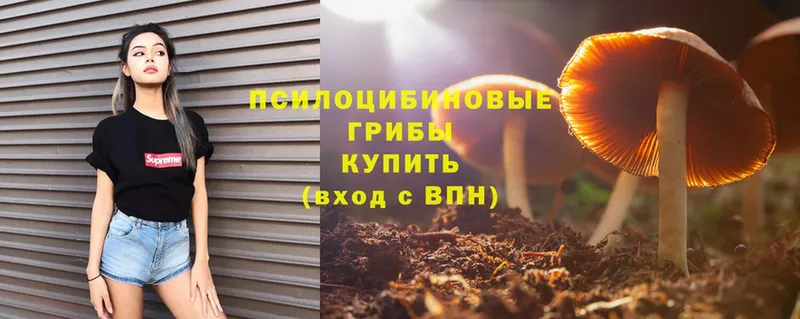 Псилоцибиновые грибы Magic Shrooms  Галич 